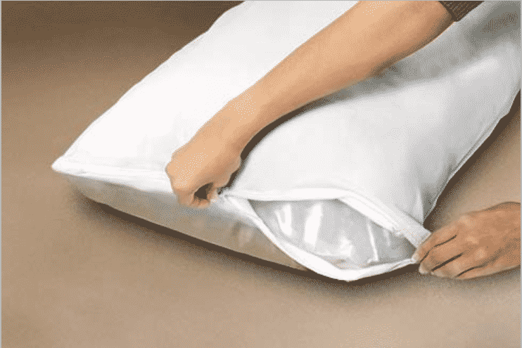 housse oreiller anti punaise lit mattress safe